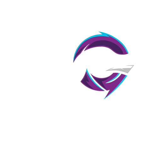 TODAK GAMING_HOK